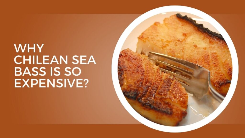 Why Chilean Sea Bass Is So Expensive