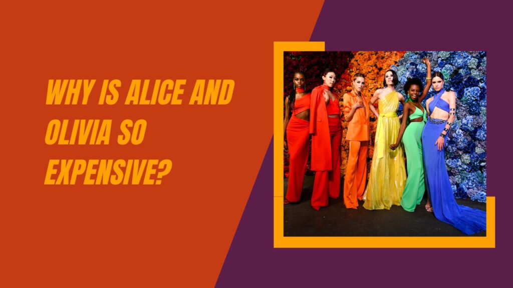 Why Is Alice And Olivia So Expensive?