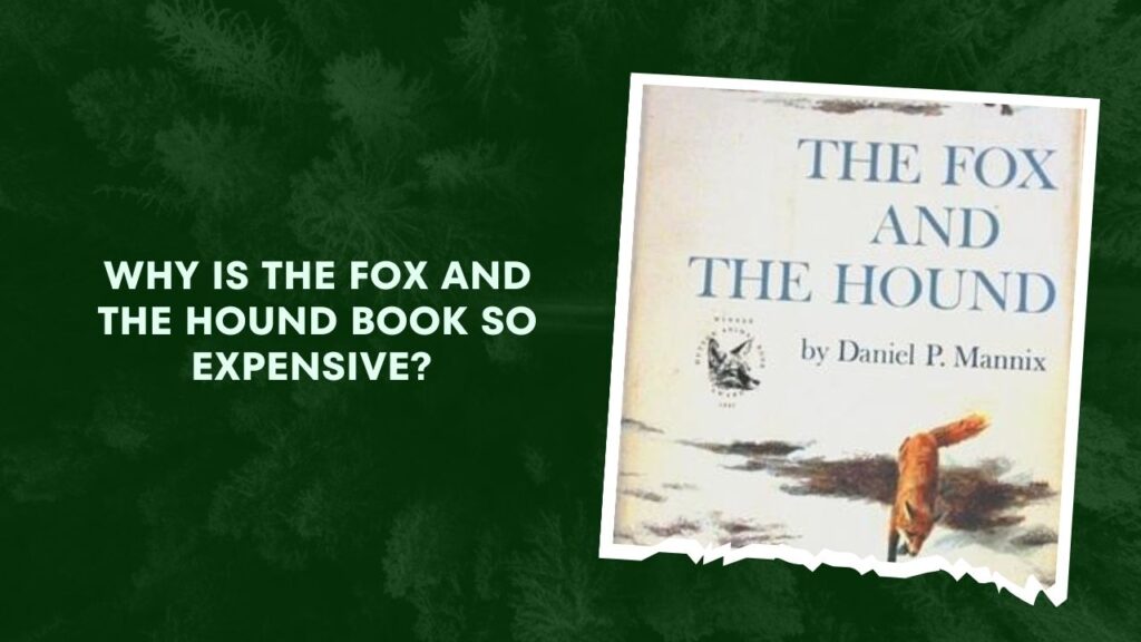 Why Is The Fox And The Hound Book So Expensive